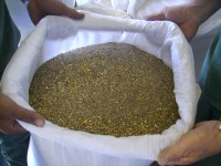 Alimentos balanceados